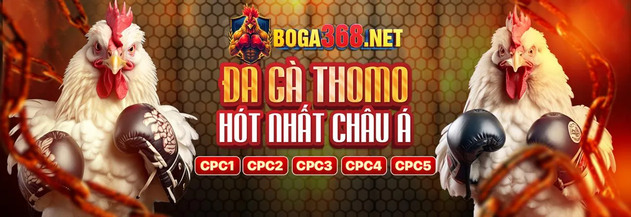 Sân đấu đá gà trực tuyến fly888 nhà cái