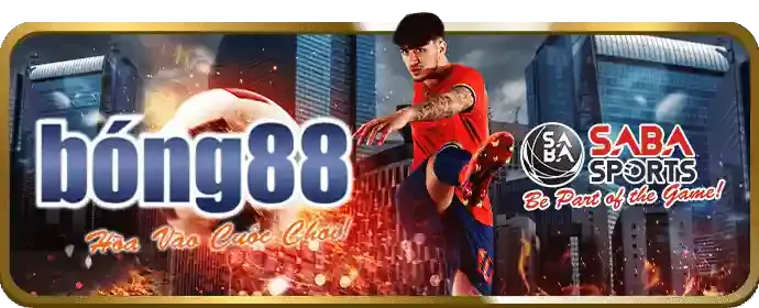 Đối tác đại lý