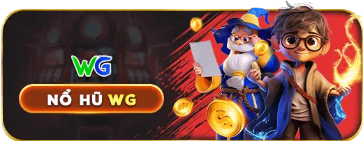 Giới thiệu chung về fly888 nhà cái